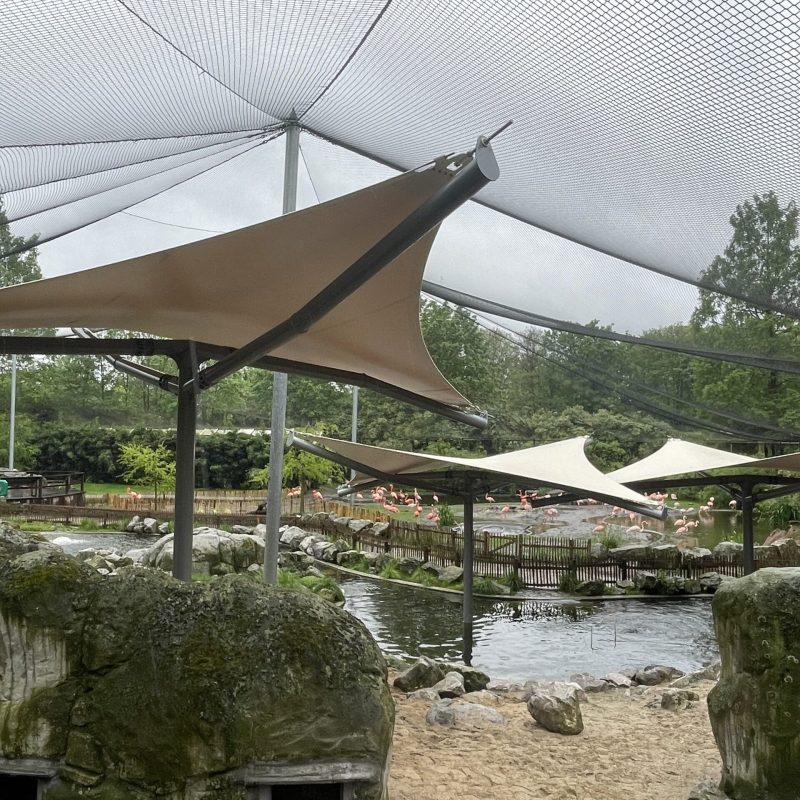 Foto 3-05-2024, 10 13 58-min