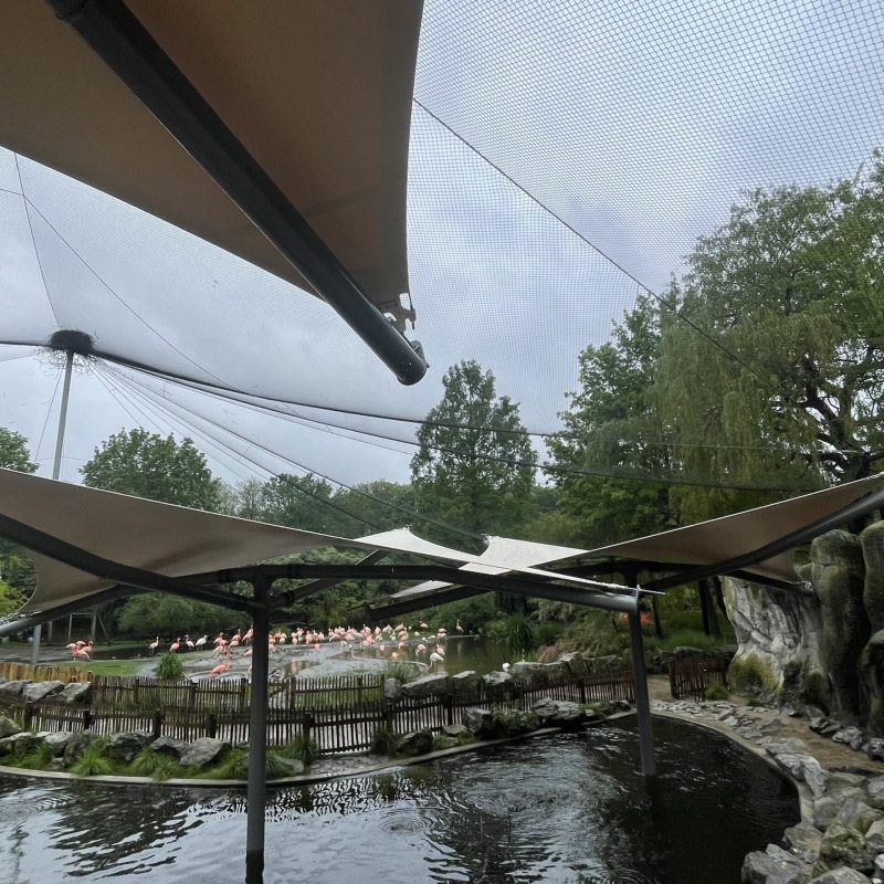 Foto 3-05-2024, 10 14 22-min