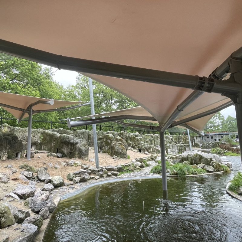 Foto 3-05-2024, 10 14 45-min